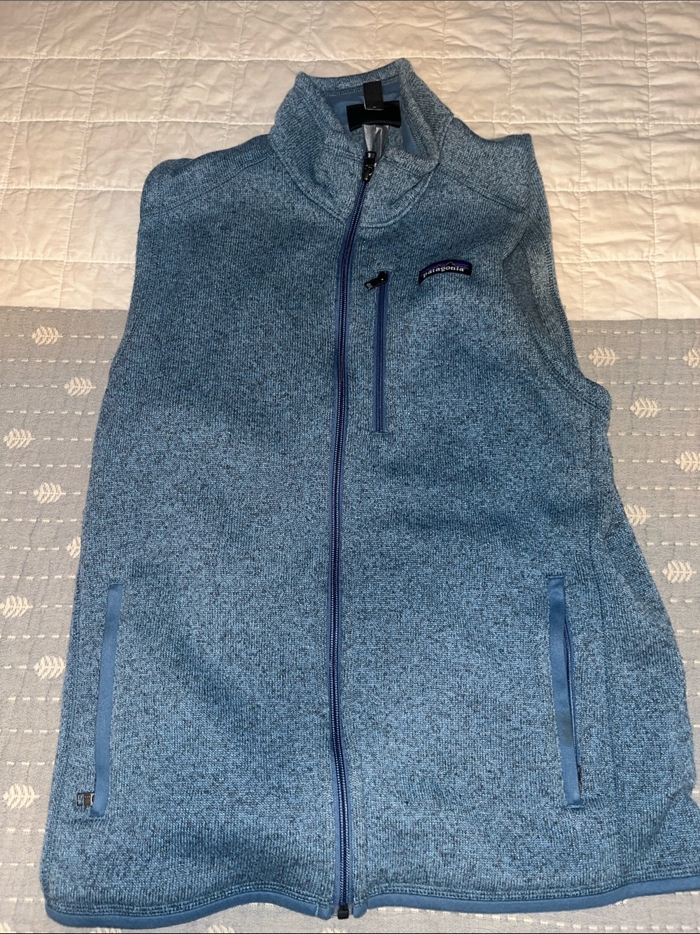 Patagonia Blue Full-Zip Men's Fleece Vest